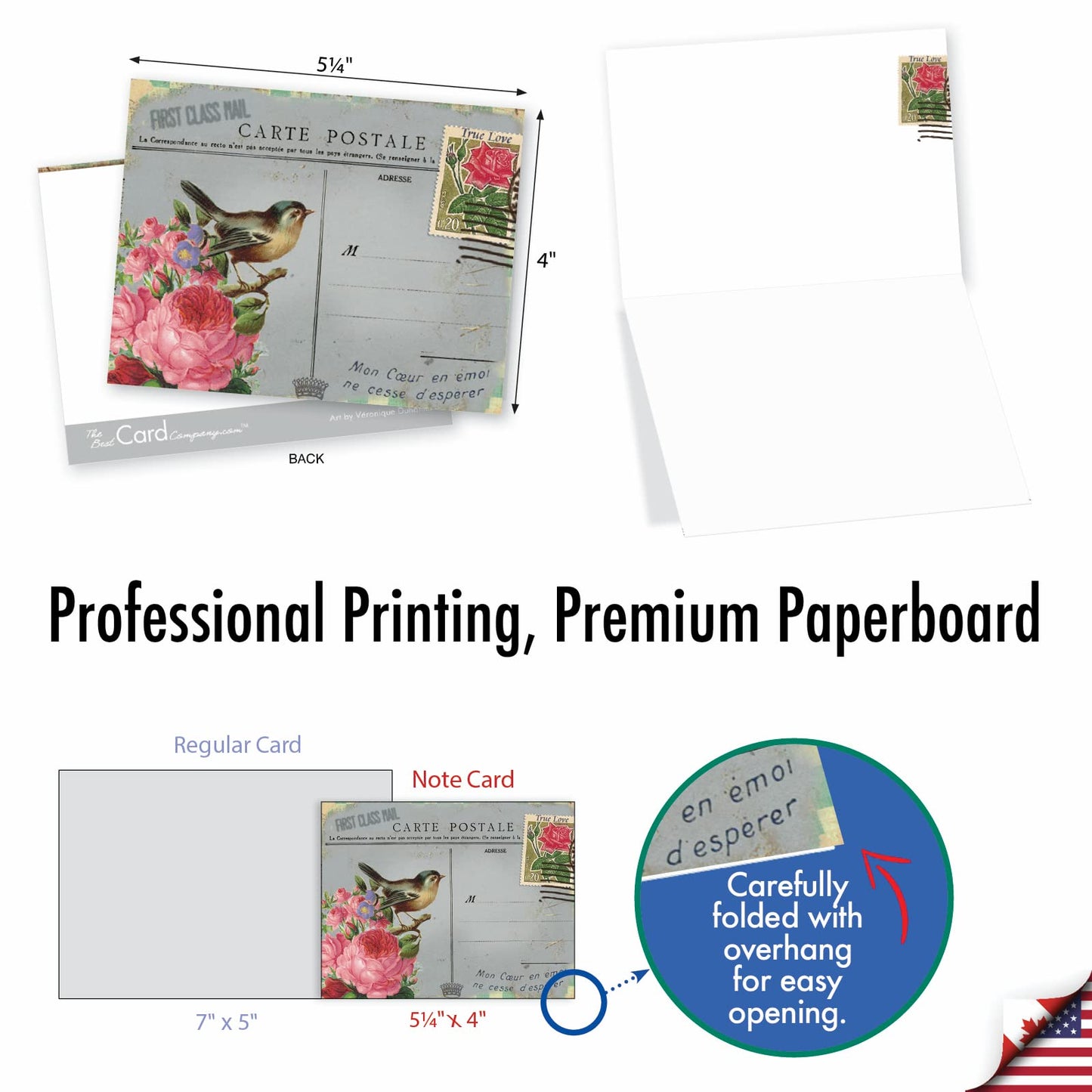 The Best Card Company - 10 Retro Blank Cards with Envelopes (4 x 5.12 Inch) - Artistic Boxed Assortment, Vintage Note Cards - Parisian Postcards M2355OCB