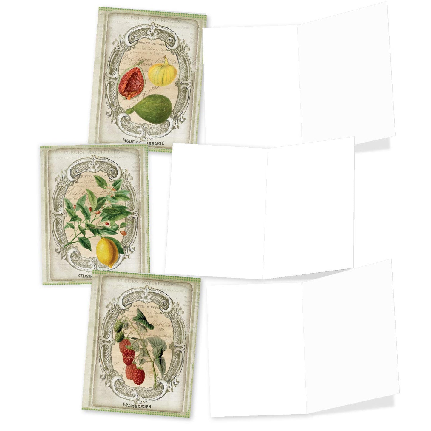 The Best Card Company - 10 Retro Blank Cards with Envelopes (4 x 5.12 Inch) - Artistic Boxed Assortment, Vintage Note Cards - Parisian Postcards M2355OCB