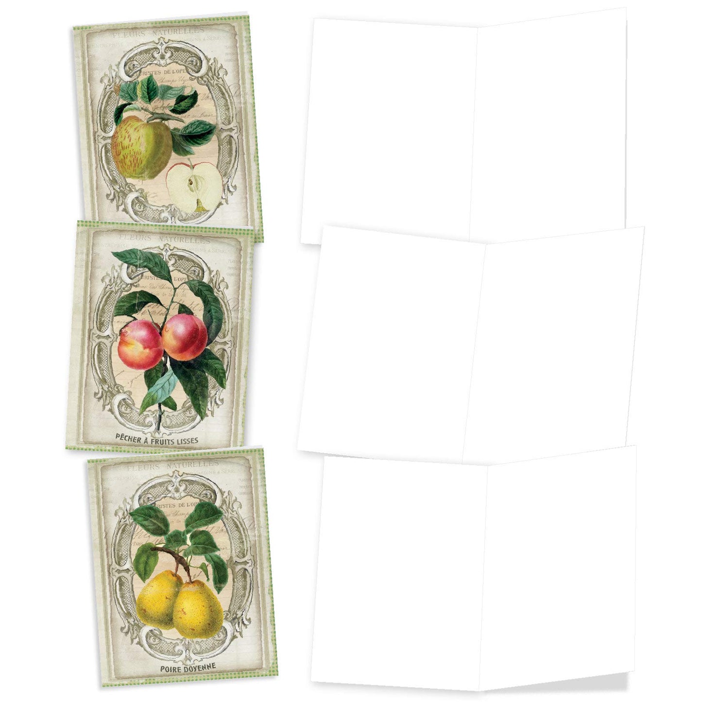 The Best Card Company - 10 Retro Blank Cards with Envelopes (4 x 5.12 Inch) - Artistic Boxed Assortment, Vintage Note Cards - Parisian Postcards M2355OCB