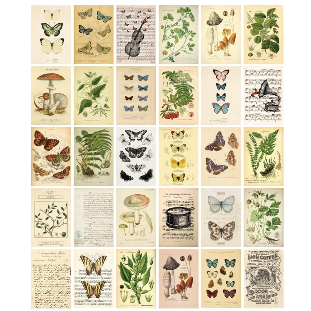 HOSTEESSCHOICE Vintage Collection Postcard Set Retro Style 30 PCS 4x6 in Botanical Butterfly Flower Mushroom Nature Postcards