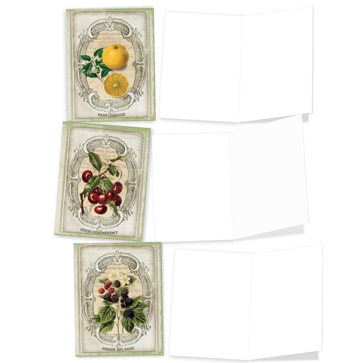 The Best Card Company - 10 Retro Blank Cards with Envelopes (4 x 5.12 Inch) - Artistic Boxed Assortment, Vintage Note Cards - Parisian Postcards M2355OCB