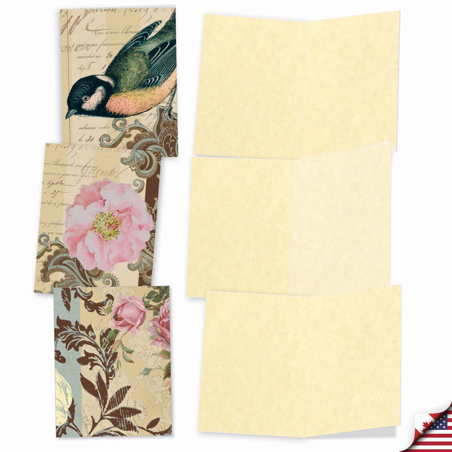 The Best Card Company - 10 Retro Blank Cards with Envelopes (4 x 5.12 Inch) - Artistic Boxed Assortment, Vintage Note Cards - Parisian Postcards M2355OCB