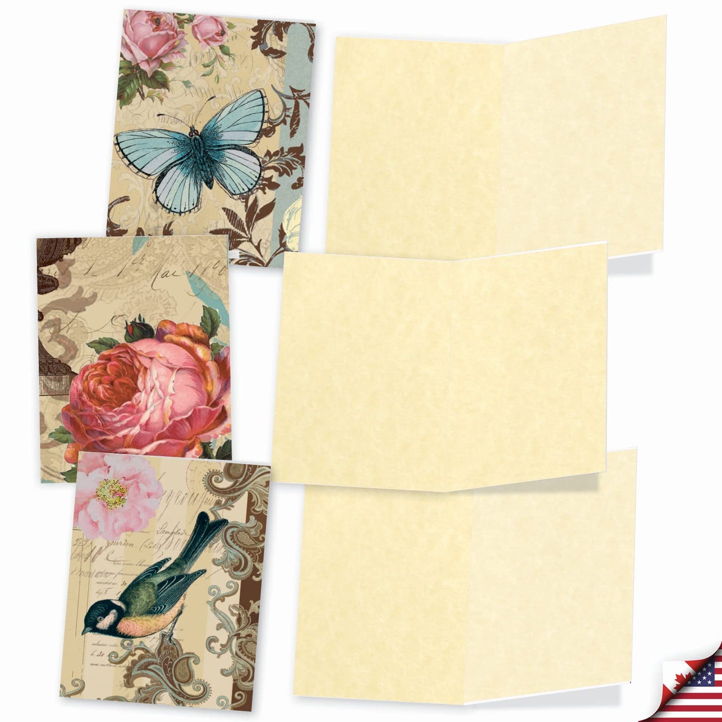 The Best Card Company - 10 Retro Blank Cards with Envelopes (4 x 5.12 Inch) - Artistic Boxed Assortment, Vintage Note Cards - Parisian Postcards M2355OCB