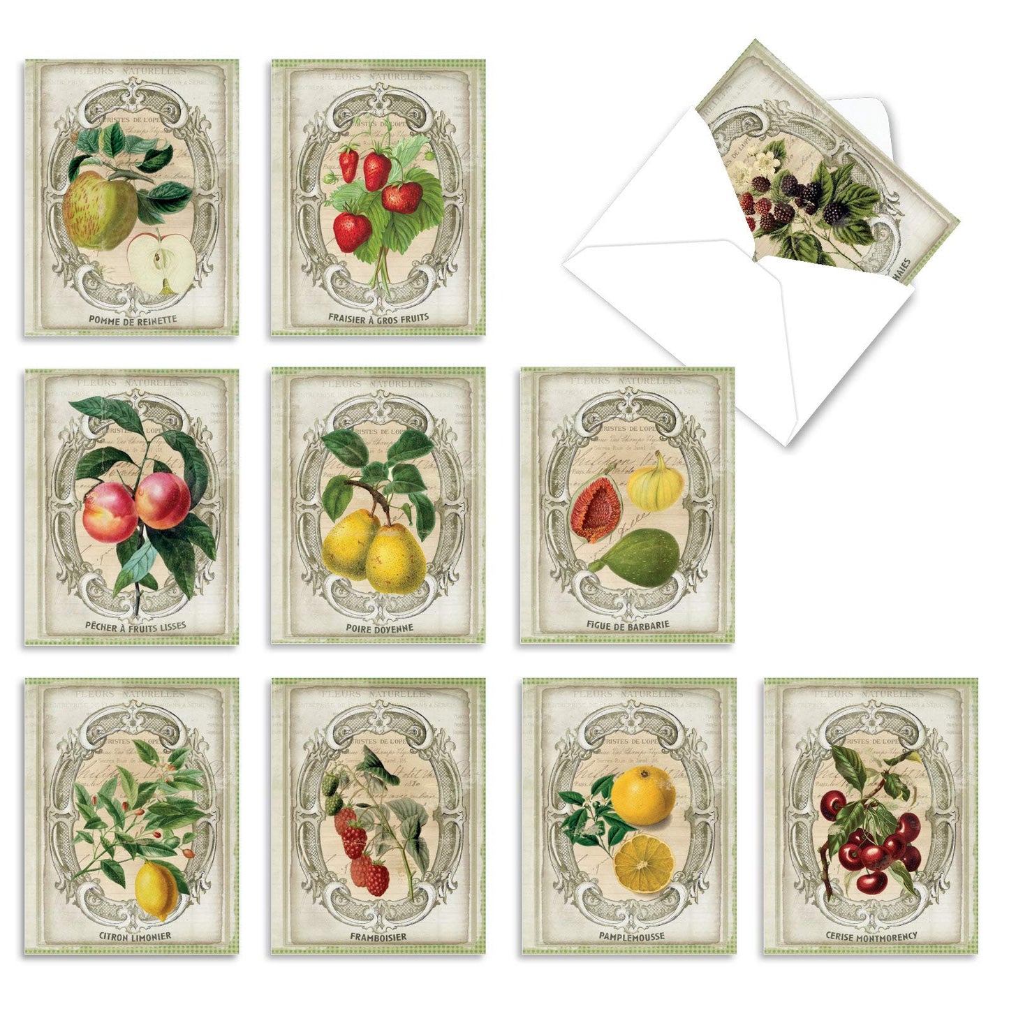 The Best Card Company - 10 Retro Blank Cards with Envelopes (4 x 5.12 Inch) - Artistic Boxed Assortment, Vintage Note Cards - Parisian Postcards M2355OCB