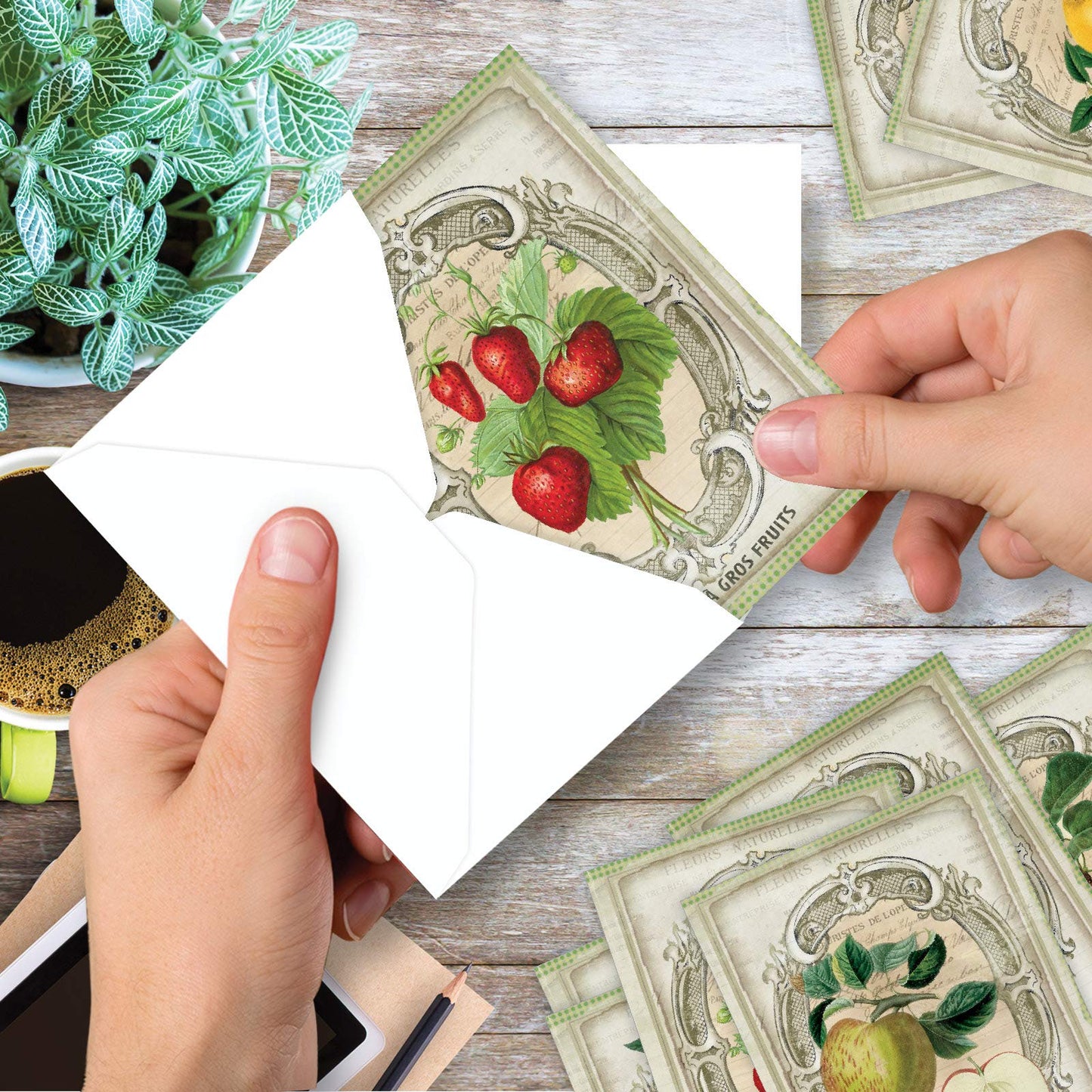 The Best Card Company - 10 Retro Blank Cards with Envelopes (4 x 5.12 Inch) - Artistic Boxed Assortment, Vintage Note Cards - Parisian Postcards M2355OCB